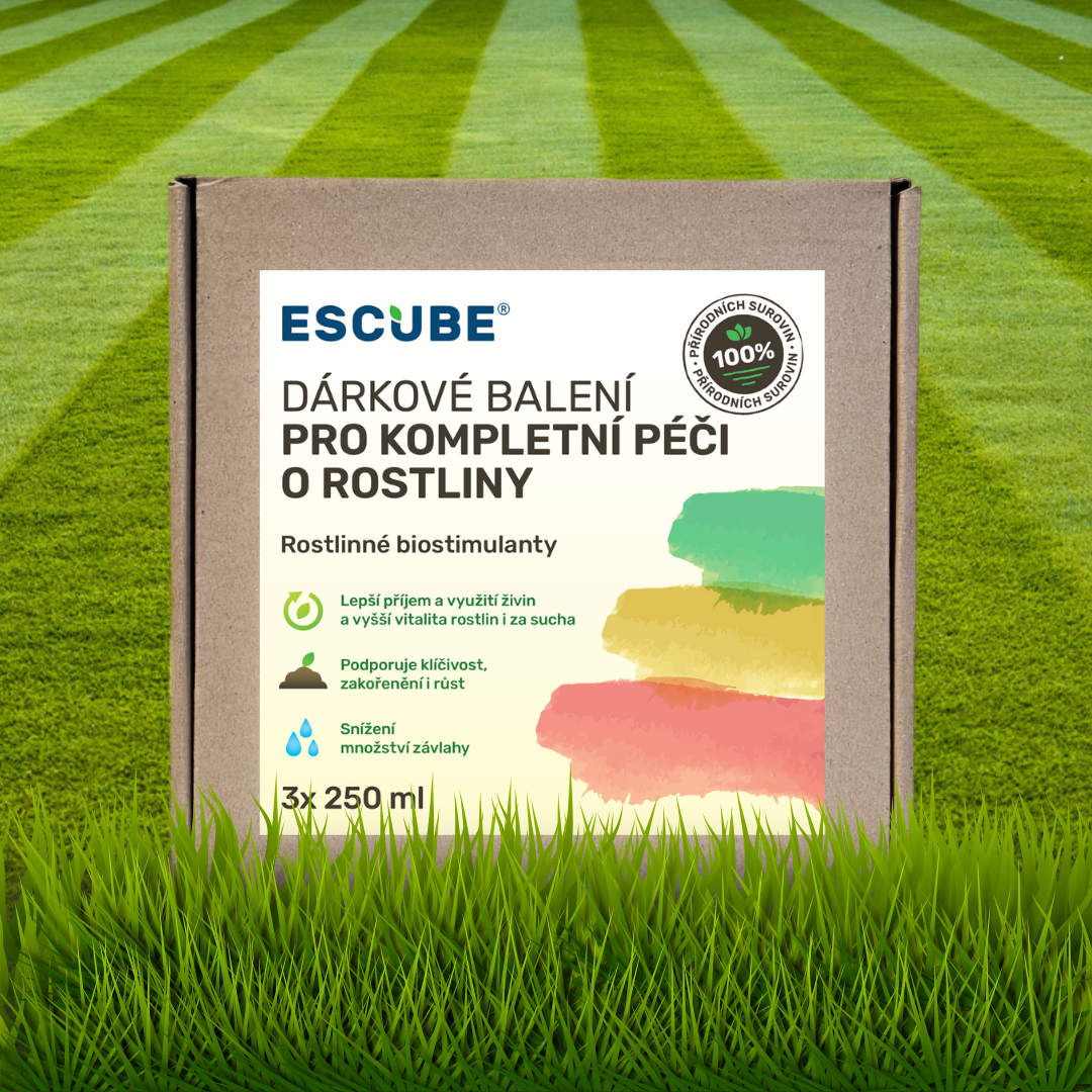 Dárkové balení 5_cz--cs-CZ